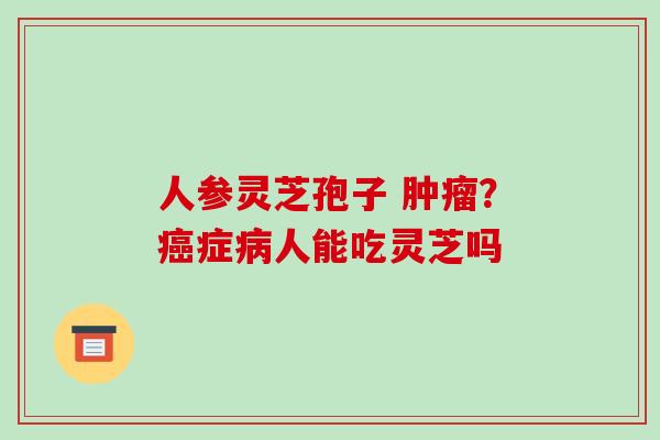 人参灵芝孢子 ？症人能吃灵芝吗