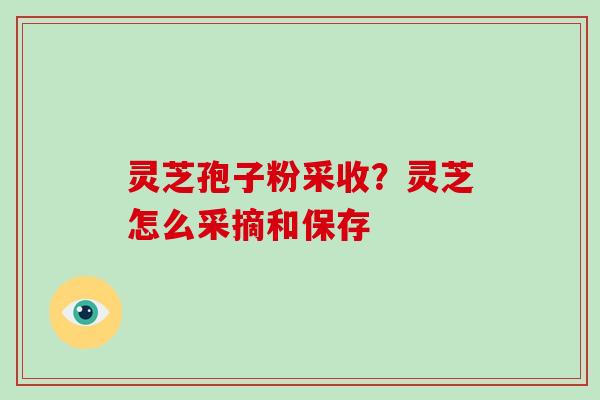灵芝孢子粉采收？灵芝怎么采摘和保存