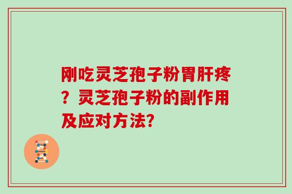 刚吃灵芝孢子粉胃疼？灵芝孢子粉的副作用及应对方法？