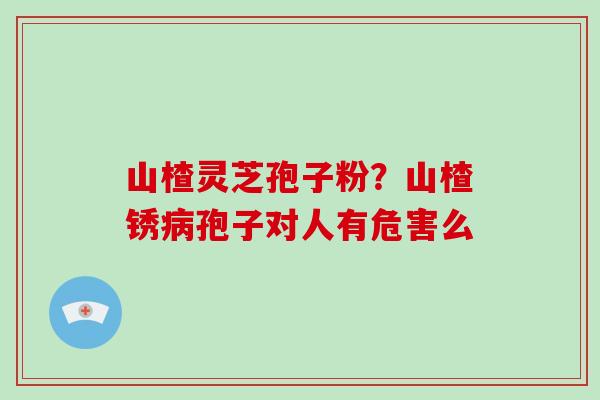 山楂灵芝孢子粉？山楂锈孢子对人有危害么