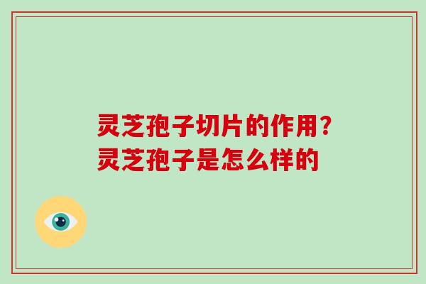 灵芝孢子切片的作用?灵芝孢子是怎么样的 灵芝孢子切片的作用?灵芝孢子是怎么样的