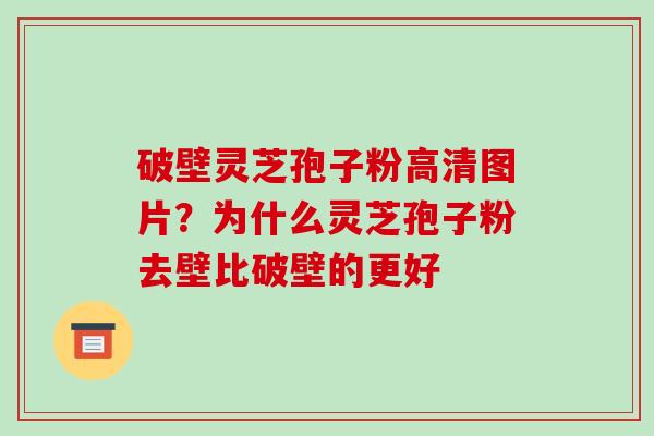 破壁灵芝孢子粉高清图片?为什么灵芝孢子粉去壁比破壁的更好 破壁灵芝孢子粉高清图片?为什么灵芝孢子粉去壁比破壁的更好
