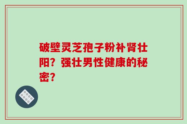破壁灵芝孢子粉补壮阳?强壮男性健康的秘密? 破壁灵芝孢子粉补壮阳?强壮男性健康的秘密?