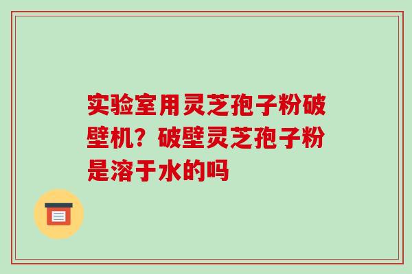 实验室用灵芝孢子粉破壁机?破壁灵芝孢子粉是溶于水的吗 实验室用灵芝孢子粉破壁机?破壁灵芝孢子粉是溶于水的吗