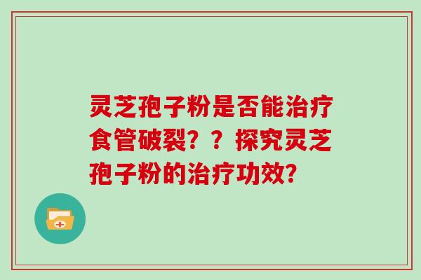 灵芝孢子粉是否能食管破裂??探究灵芝孢子粉的功效? 灵芝孢子粉是否能食管破裂??探究灵芝孢子粉的功效?