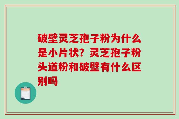 破壁灵芝孢子粉为什么是小片状?灵芝孢子粉头道粉和破壁有什么区别吗 破壁灵芝孢子粉为什么是小片状?灵芝孢子粉头道粉和破壁有什么区别吗