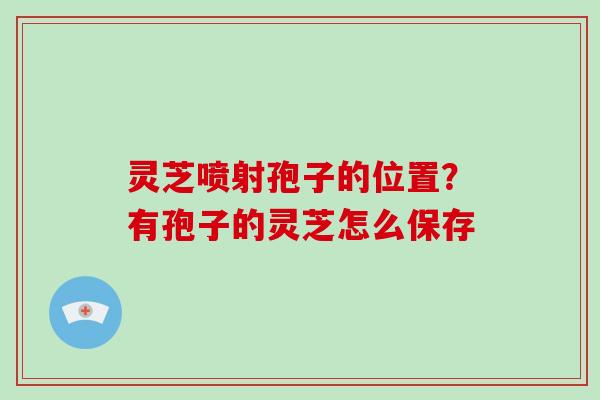 灵芝喷射孢子的位置？有孢子的灵芝怎么保存