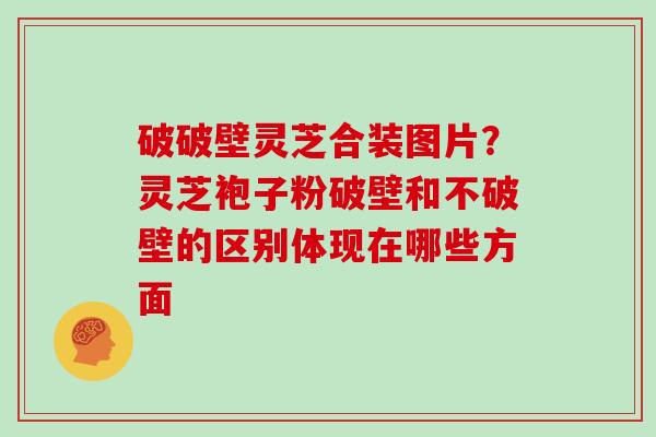 破破壁灵芝合装图片?灵芝袍子粉破壁和不破壁的区别体现在哪些方面 破破壁灵芝合装图片?灵芝袍子粉破壁和不破壁的区别体现在哪些方面