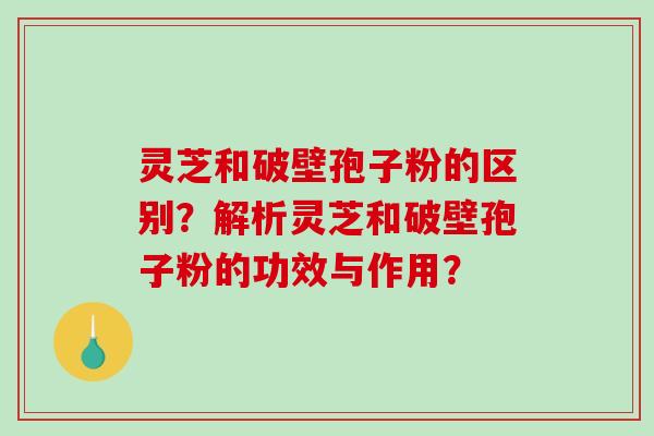 灵芝和破壁孢子粉的区别?解析灵芝和破壁孢子粉的功效与作用? 灵芝和破壁孢子粉的区别?解析灵芝和破壁孢子粉的功效与作用?