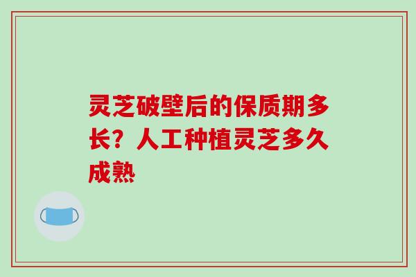 灵芝破壁后的保质期多长?人工种植灵芝多久成熟 灵芝破壁后的保质期多长?人工种植灵芝多久成熟
