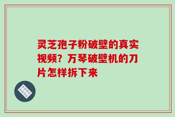 灵芝孢子粉破壁的真实视频?万琴破壁机的刀片怎样拆下来 灵芝孢子粉破壁的真实视频?万琴破壁机的刀片怎样拆下来