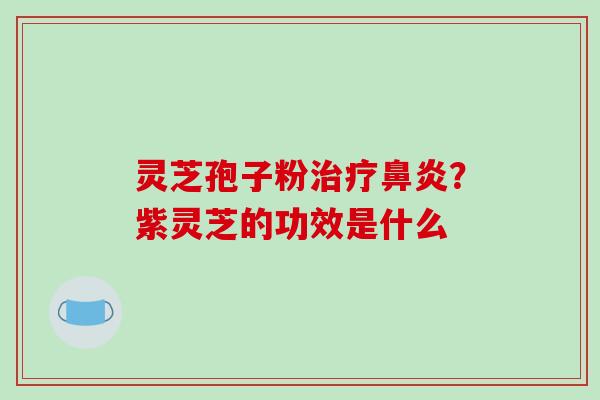 灵芝孢子粉?紫灵芝的功效是什么 灵芝孢子粉?紫灵芝的功效是什么
