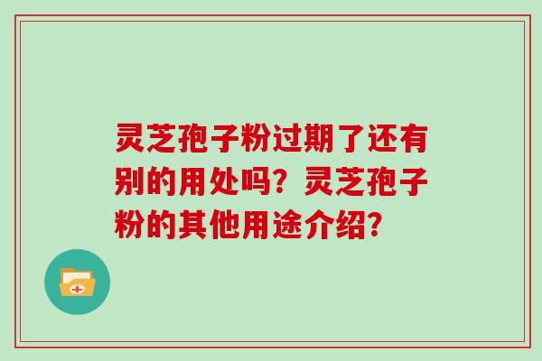 灵芝孢子粉过期了还有别的用处吗?灵芝孢子粉的其他用途介绍? 灵芝孢子粉过期了还有别的用处吗?灵芝孢子粉的其他用途介绍?