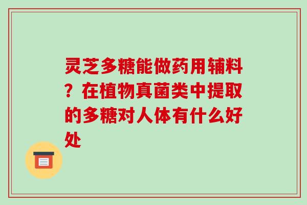 灵芝多糖能做药用辅料？在植物真菌类中提取的多糖对人体有什么好处