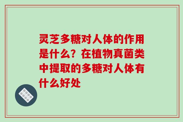 灵芝多糖对人体的作用是什么？在植物真菌类中提取的多糖对人体有什么好处