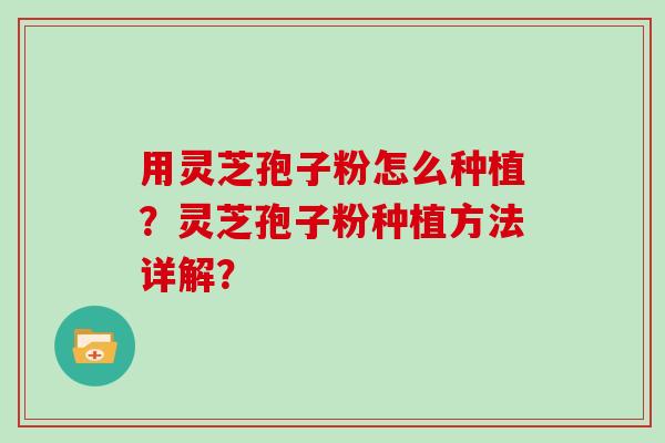 用灵芝孢子粉怎么种植?灵芝孢子粉种植方法详解? 用灵芝孢子粉怎么种植?灵芝孢子粉种植方法详解?