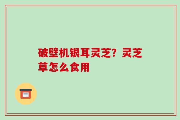 破壁机银耳灵芝?灵芝草怎么食用 破壁机银耳灵芝?灵芝草怎么食用