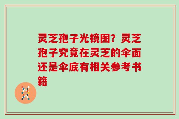 灵芝孢子光镜图?灵芝孢子究竟在灵芝的伞面还是伞底有相关参考书籍 灵芝孢子光镜图?灵芝孢子究竟在灵芝的伞面还是伞底有相关参考书籍