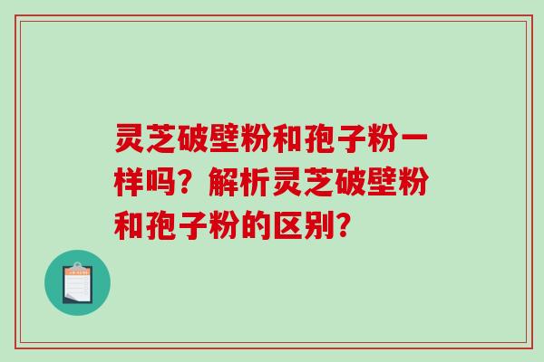 灵芝破壁粉和孢子粉一样吗?解析灵芝破壁粉和孢子粉的区别? 灵芝破壁粉和孢子粉一样吗?解析灵芝破壁粉和孢子粉的区别?