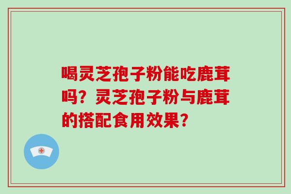 喝灵芝孢子粉能吃鹿茸吗？灵芝孢子粉与鹿茸的搭配食用效果？