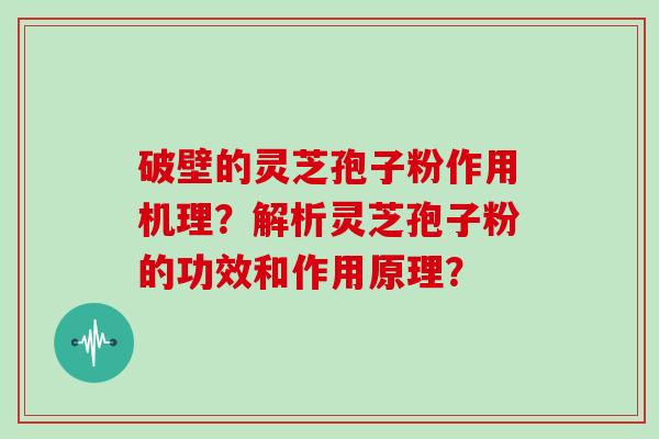 破壁的灵芝孢子粉作用机理？解析灵芝孢子粉的功效和作用原理？