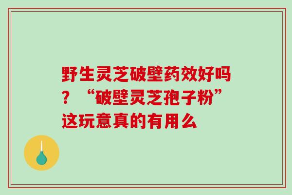 野生灵芝破壁好吗？“破壁灵芝孢子粉”这玩意真的有用么