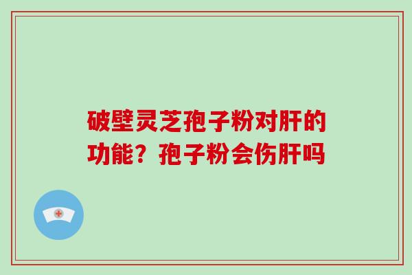破壁灵芝孢子粉对的功能？孢子粉会伤吗