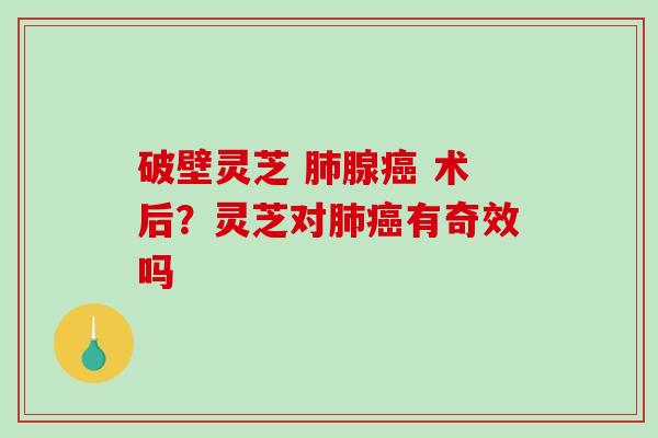破壁灵芝 腺 术后？灵芝对有奇效吗