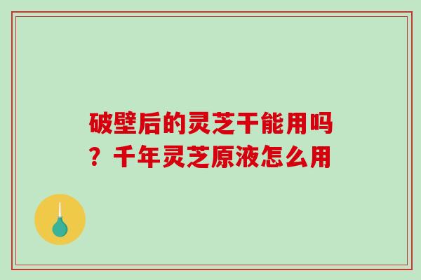 破壁后的灵芝干能用吗？千年灵芝原液怎么用
