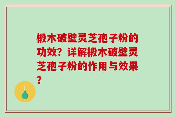 椴木破壁灵芝孢子粉的功效？详解椴木破壁灵芝孢子粉的作用与效果？