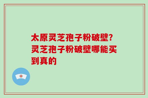 太原灵芝孢子粉破壁？灵芝孢子粉破壁哪能买到真的