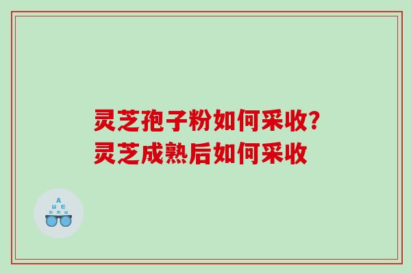 灵芝孢子粉如何采收？灵芝成熟后如何采收