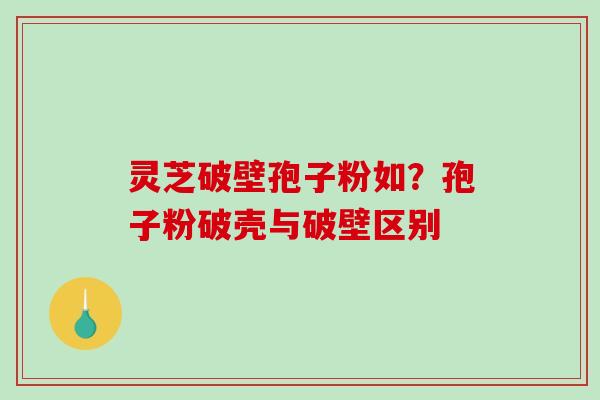 灵芝破壁孢子粉如？孢子粉破壳与破壁区别