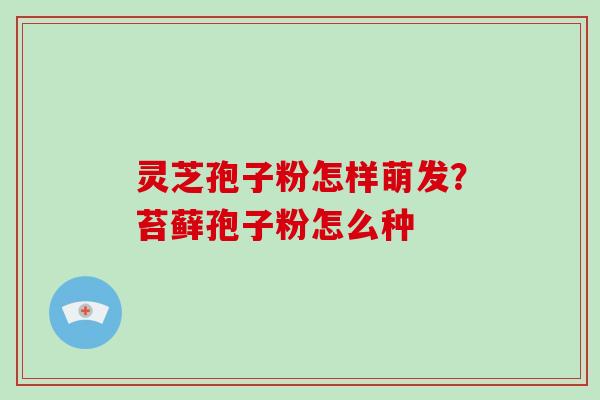 灵芝孢子粉怎样萌发？苔藓孢子粉怎么种