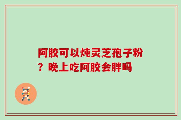 阿胶可以炖灵芝孢子粉？晚上吃阿胶会胖吗