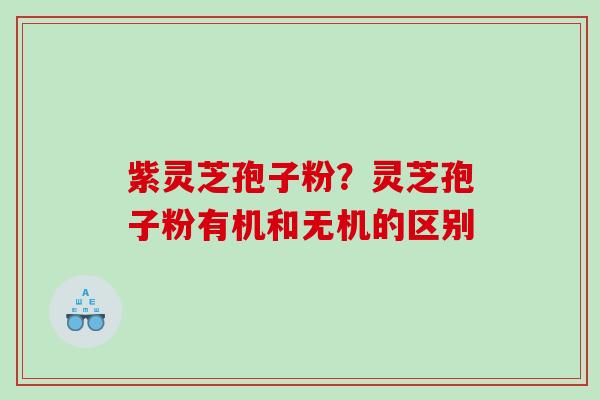 紫灵芝孢子粉？灵芝孢子粉有机和无机的区别