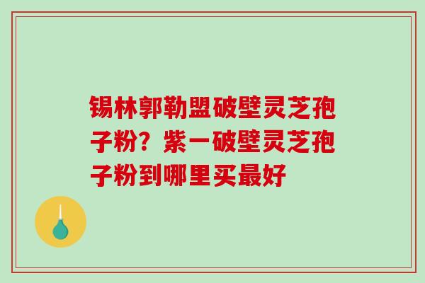 锡林郭勒盟破壁灵芝孢子粉？紫一破壁灵芝孢子粉到哪里买好