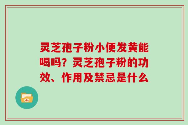 灵芝孢子粉小便发黄能喝吗？灵芝孢子粉的功效、作用及禁忌是什么