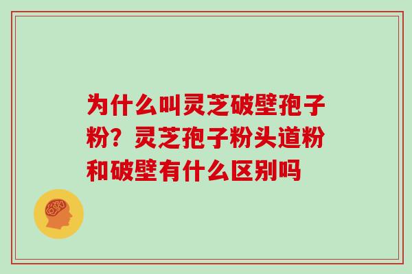 为什么叫灵芝破壁孢子粉？灵芝孢子粉头道粉和破壁有什么区别吗