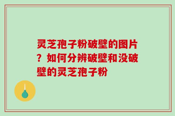 灵芝孢子粉破壁的图片？如何分辨破壁和没破壁的灵芝孢子粉