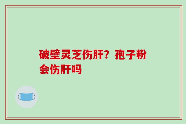破壁灵芝伤？孢子粉会伤吗