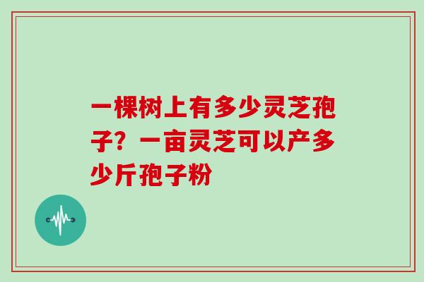 一棵树上有多少灵芝孢子？一亩灵芝可以产多少斤孢子粉