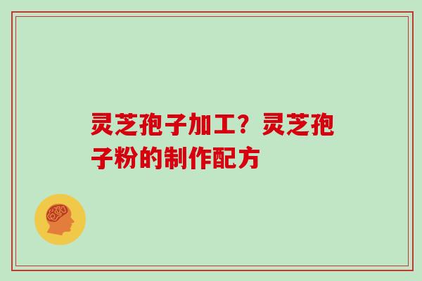 灵芝孢子加工？灵芝孢子粉的制作配方