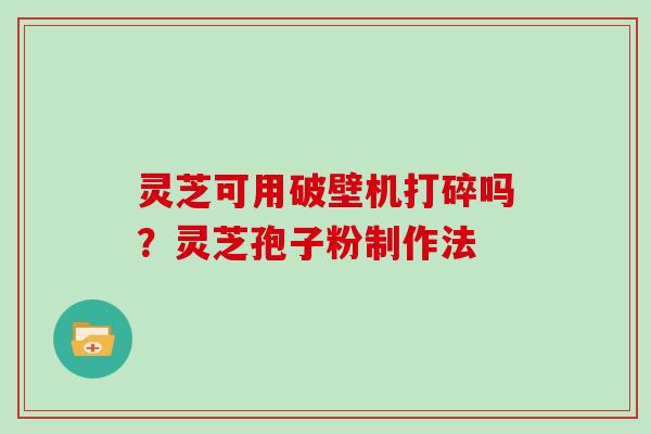 灵芝可用破壁机打碎吗？灵芝孢子粉制作法