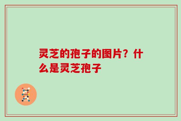 灵芝的孢子的图片？什么是灵芝孢子