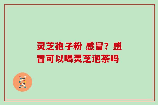 灵芝孢子粉 ？可以喝灵芝泡茶吗
