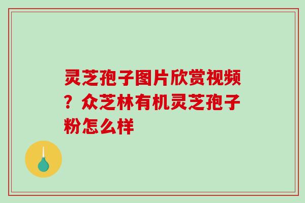 灵芝孢子图片欣赏视频？众芝林有机灵芝孢子粉怎么样