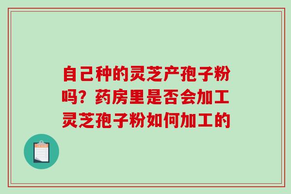自己种的灵芝产孢子粉吗？药房里是否会加工灵芝孢子粉如何加工的