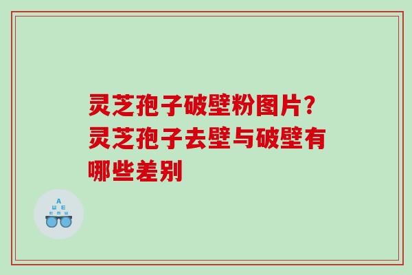 灵芝孢子破壁粉图片？灵芝孢子去壁与破壁有哪些差别
