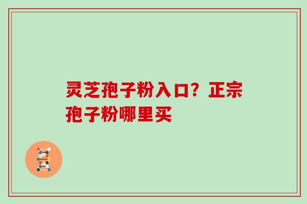 灵芝孢子粉入口？正宗孢子粉哪里买